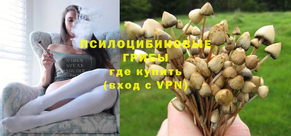 метадон Аркадак