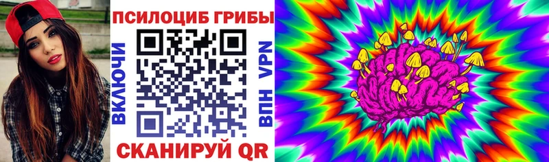 Галлюциногенные грибы Cubensis  Гуково 