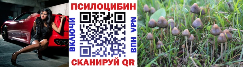 Галлюциногенные грибы мицелий Гуково